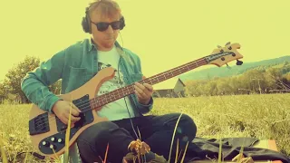 Kate Bush - Wuthering Heights (Bass cover)
