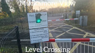 Muckamore View Level Crossing (County Antrim) Thursday November 03.11.2022