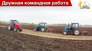 Разница пахоты по горелому полю и нет, на трех МТЗ с плугами ПЧ-2.5.