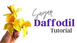 Spring Flowers Cake Decorating // Sugar Daffodils // Finespun Cakes