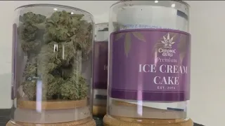 Florida pot growers react to recreational marijuana possibility in Florida
