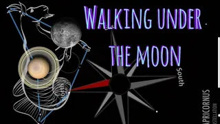 Walking under the moon  Гуляющие под луной  נחל סדום בלילה