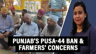 How Punjab farmers sacrificed high income for a big cause—they gave up Pusa-44 this year