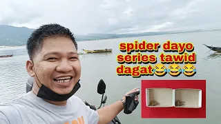 Spider dayo series / tabing dagat