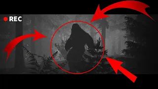 You'll Never Believe Who We Found Deep In The Forest (It's Bigfoot)