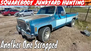 1978 Square Body Junkyard Find