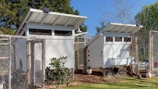 The Best chicken coop design EVER!