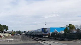 Trains between January and February 2024 feat. BNSF SD70MAC on UP trackage & last ACE 49ers train.