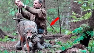 This Man Saved A Wolf And Her Pups, For Years Later The Pack Found Him…