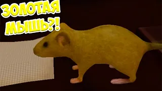 🐁СИМУЛЯТОР МЫШИ😍Золотая мышь🐭Ухаживаю за питомцем Мышка