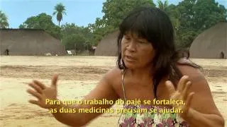 Índios do Xingu querem associar medicinas ocidental e indígena