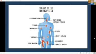 Build Your Immune System