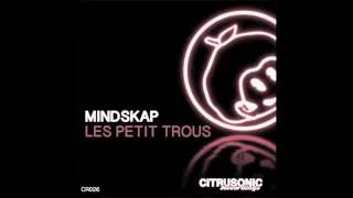 Mindskap - Les Petit Trous (Promo)