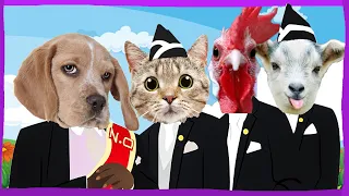 Funny Cat & Dog & Rooster & Goat - Coffin Dance Song Astronomia (Animals Cover)Lxawsy