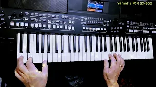 SAVAGE - Don't Cry Tonight cover Yamaha PSR SX-600