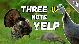 DEADLIEST Turkey Call?? - (TOP 3 Calling Tips)