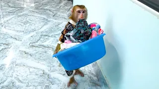 So Smart! Monkey Kaka knows how to use the washing machine