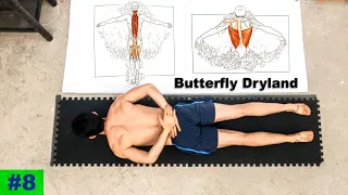 Butterfly dryland swimming workout. Episode #8. Exercises for swimmers