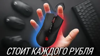 Ты не поверишь, но эта мышь ТОП! Обзор Bloody R90 Plus