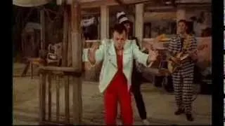 Zabranjeno Pusenje - Zeni Nam Se Vukota - (Official Video 1997)