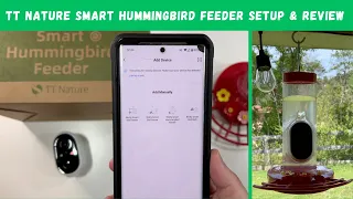 TT Nature Smart Hummingbird Feeder Setup & Review