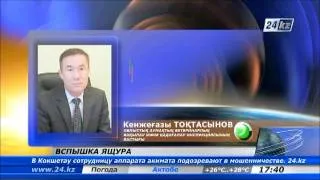 В селе Акшокы в ВКО зафиксирована вспышка ящура