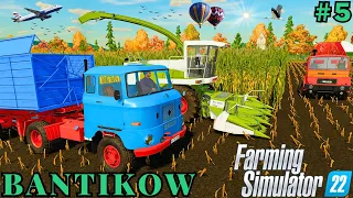 FS22 Timelapse BANTIKOW MAP Ep 5 | Farming Simulator 22