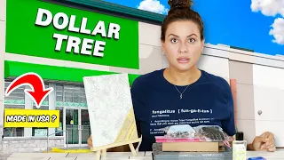 I Bought Dollar Tree Products: How many Dollar Tree Items are Made HERE?