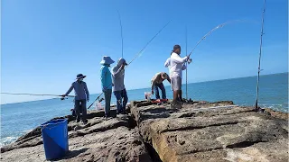 Fisherman Dumps a MASSIVE Load at the Jetty! Landing Massive Fish!