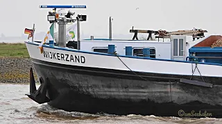 Einlauf Binnenschiff GMS WIJKERZAND inbound Emden riverbarge PD6976 MMSI 244660177