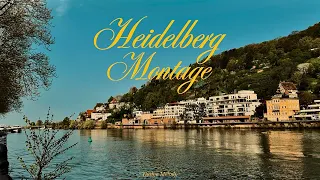 Heidelberg, Germany | 2024 | Montage