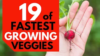 19 Of The Fastest Growing Vegetables You Can Harvest In No Time