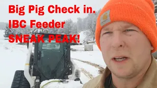 100 group check in, IBC FEEDER sneak peak!