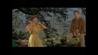Three Coins In The Fountain (1954) Tribute