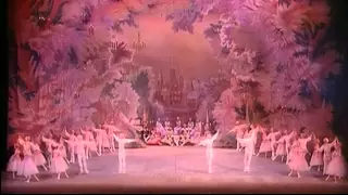 NUTCRACKER, Waltz Of The Flowers (Tchaikovsky). / O QUEBRA-NOZES, Valsa das Fores