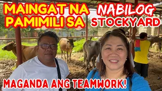 MAINGAT NA PAMIMILI SA NABILOG STOCKYARD | MAGANDANG ANG TEAMWORK | SOLLE'S GANDANG BUHAY