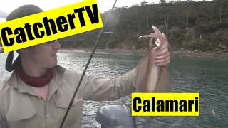 Catcher TV Ep. 2: Southern Calamari on Tasmania's East Coast
