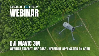 Webinar Excerpt | DJI Mavic 3M Multispectral - Use Case - Herbicide Application on Corn | Dronefly