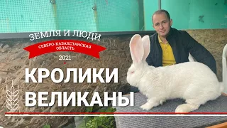 Земля и люди #7: Кролики-великаны Дмитрия Лапицкого
