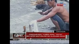 QRT: Tinaguriang "cobra king," patay matapos matuklaw ng alagang ahas