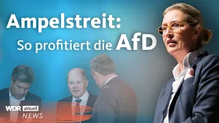 AfD und SPD in Umfragen gleichauf: Unzufriedenheit mit Ampel-Regierung | Aktuelle Stunde