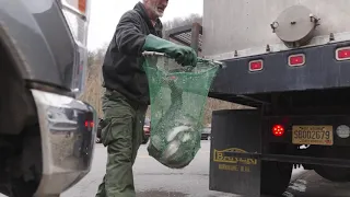 WVDNR increases Buffalo Creek trout stocking