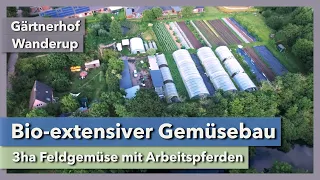 Bio-extensiver Gemüsebau mit Arbeitspferden | Gärtnerhof Wanderup | Mikrofarming Konferenz 2022