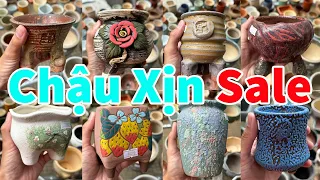 Săn những chậu trồng sen đá xịn sò | succulent Gia Nghia