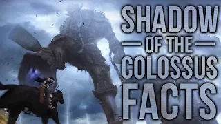 10 Shadow of The Colossus Facts You Probably Didn't Know