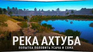 Рыбалка на реке Ахтуба • Усач короткоголовый, Сом • Русская Рыбалка 4