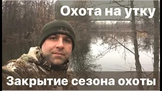 Охота на утку  Закрытие сезона охоты 2019