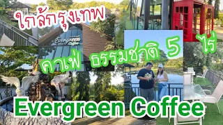 EP:97  (4K) Natural Cafe: Evergreen coffee นครปฐม โอโซนใกล้กรุง  สวน 5 ไร่ สระบัว   #นครปฐม #คาเฟ่