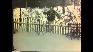 Family Holiday in the Snow - 1960's