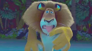 DreamWorks Madagascar | Alex Arrives at Madagascar - Movie Clip | Madagascar | Kids Movies